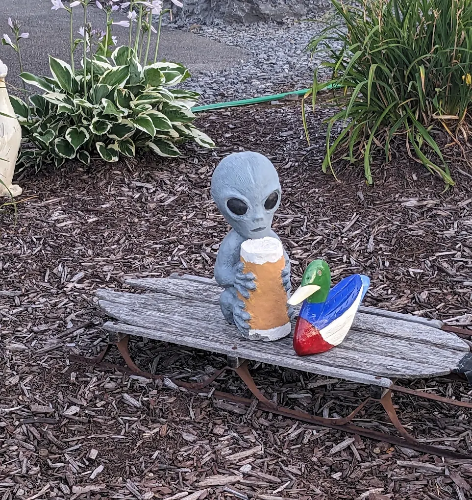 Odd Little Friends